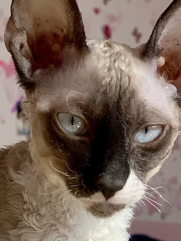 Photograph by Роман