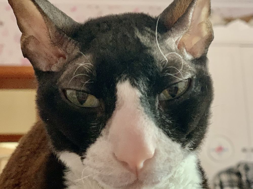 Photograph by Роман