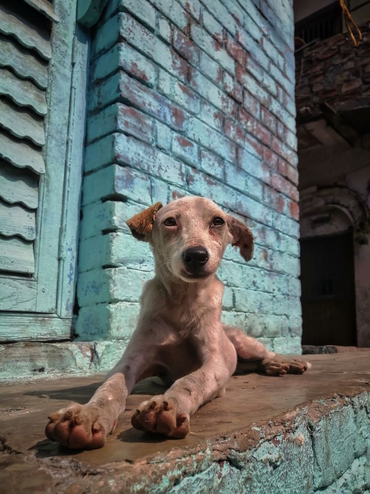 Photograph by DHIRAJ GOSWAMI