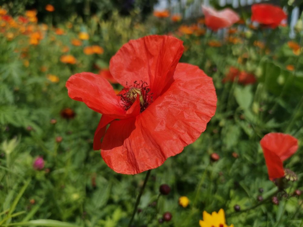 Photograph by Сергей Подлевский