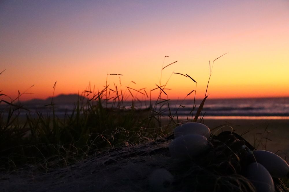 Photo #5817535
