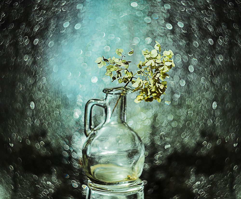 Photograph by Наталья Лещинская