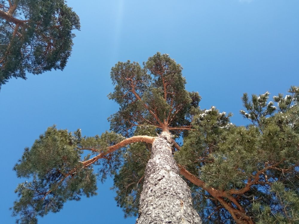 Фотография автора Людмила Зубова