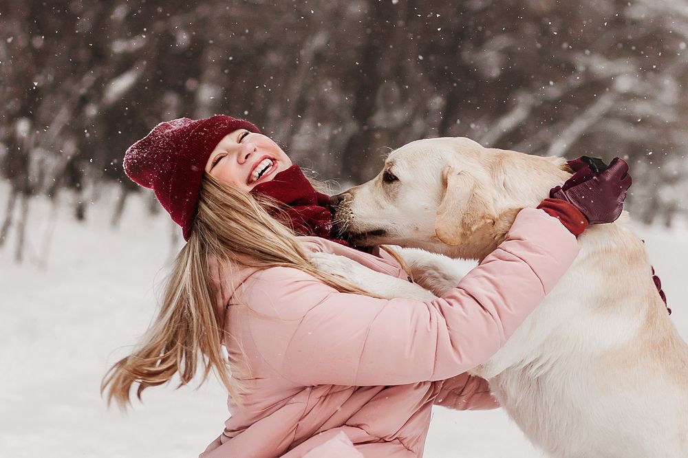 Photograph by Ирина Габо