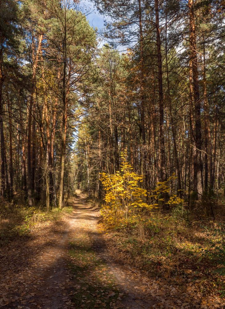 Photograph by Геннадий Михайлов