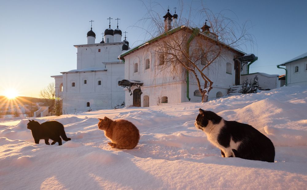 Фотография автора Гарбузов Илья