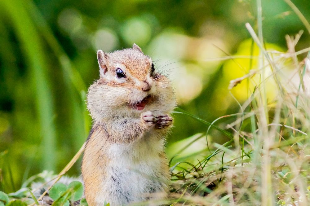 Photograph by Виктор Сёмушкин