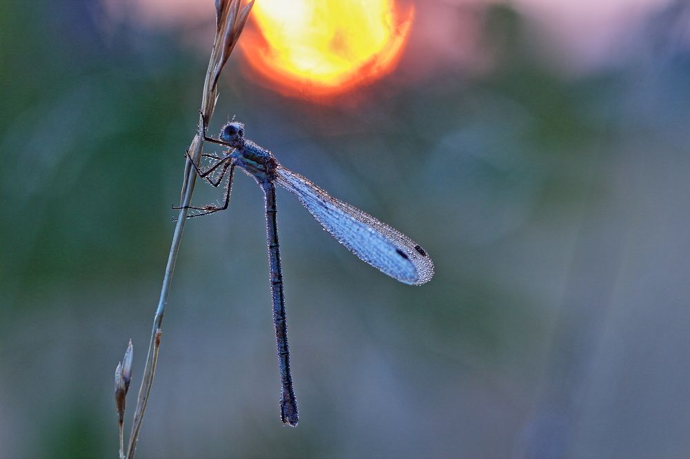 Photograph by Олег Резенов