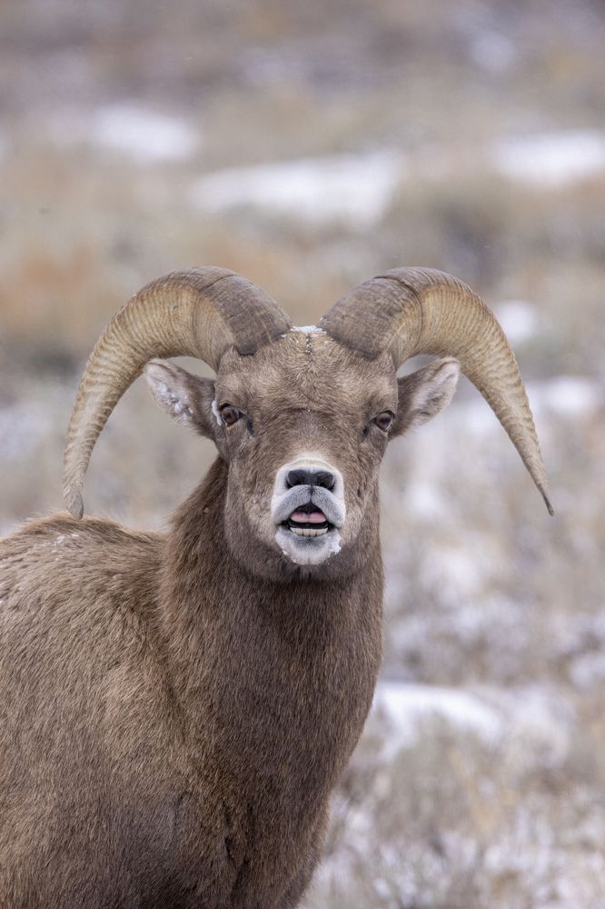 Photograph by Goutham Ganesh Sivanandam