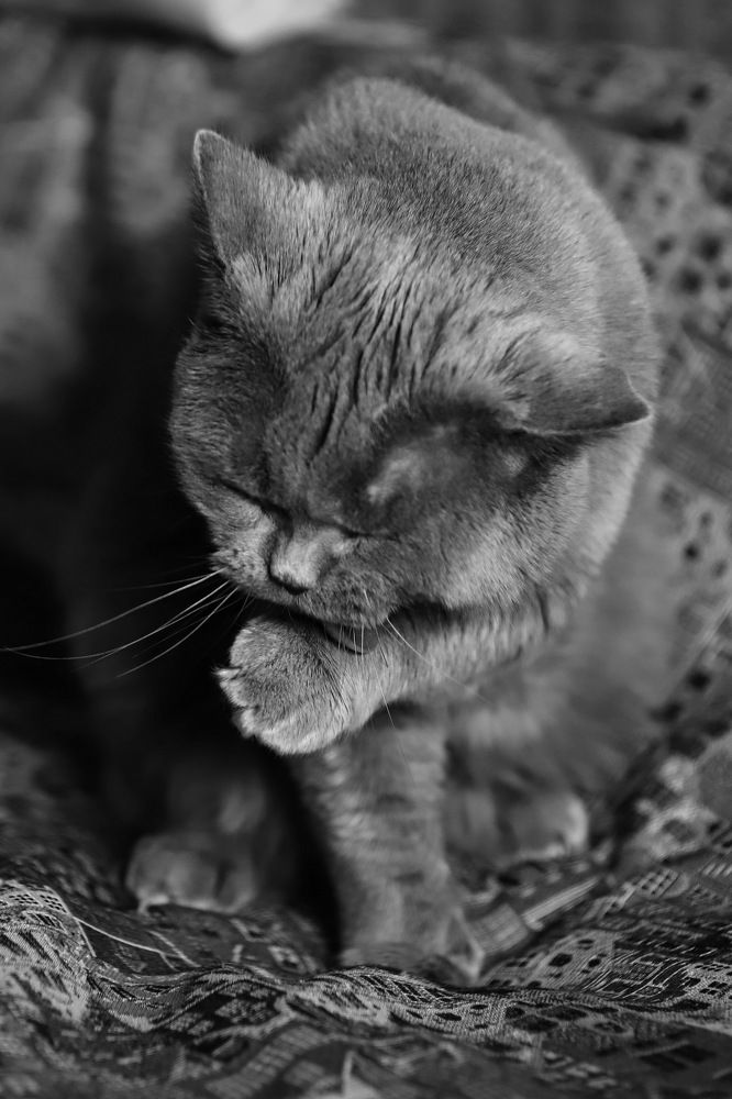 Photograph by Константин Лагоденко