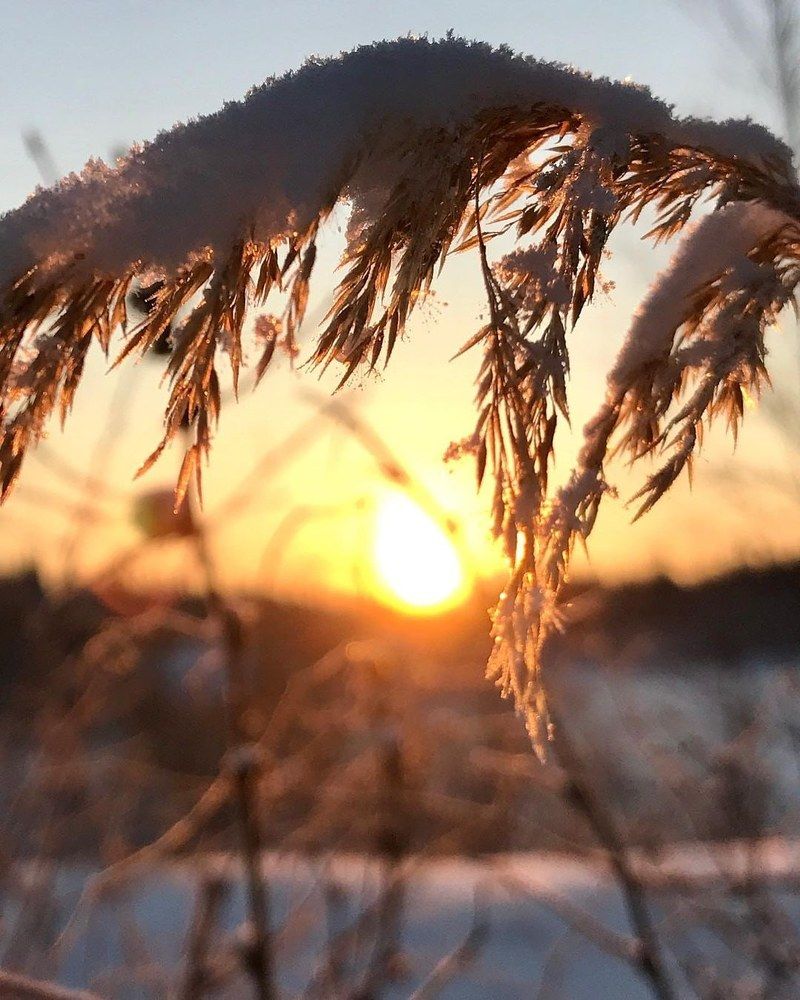 Фотография автора Андрей Морозов