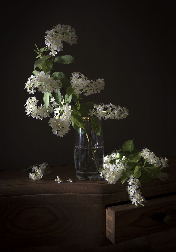 Черемухи душистой аромат