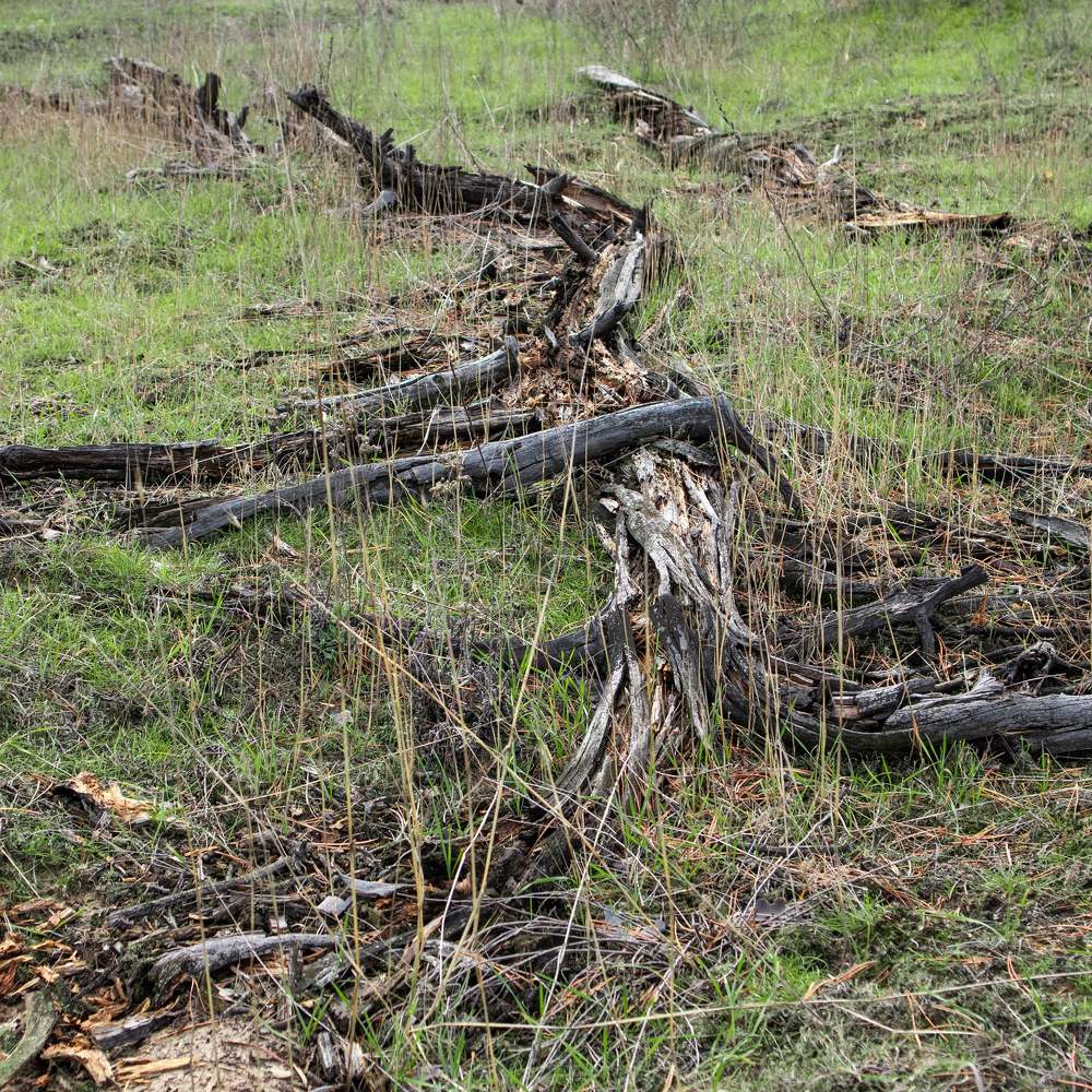 Photograph by Татьяна Маринич