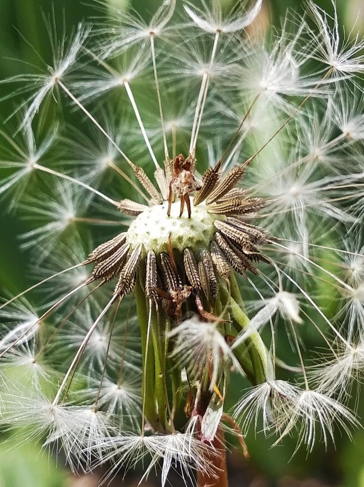 Photograph by Ирина Грицаенко-Шимановская