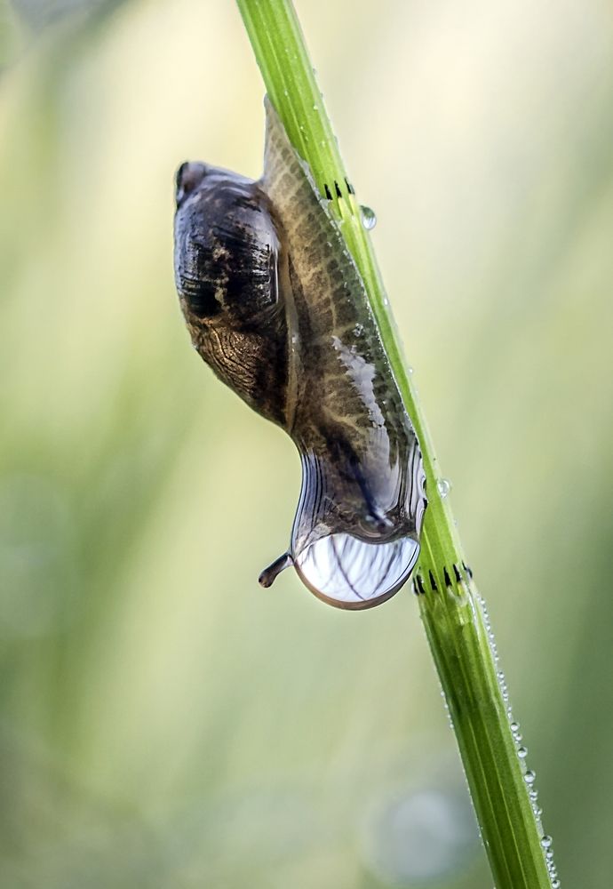 На самоизоляции