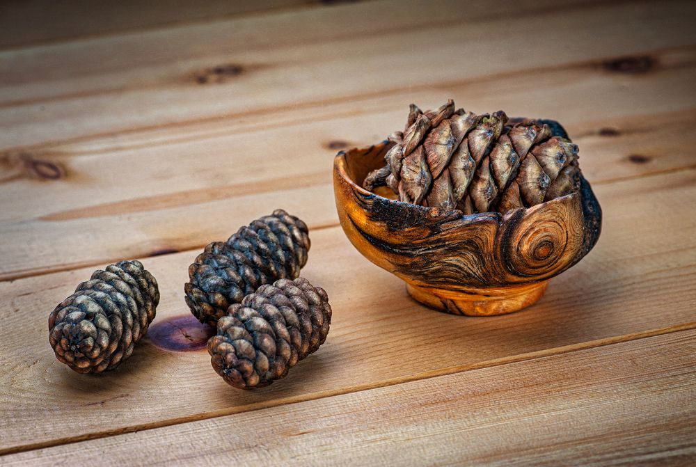 Фотография автора Tahir