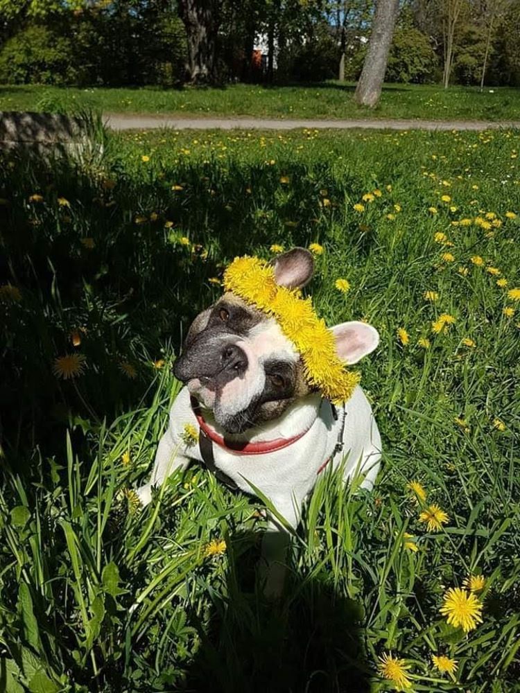 Photograph by Андрей Зиновьев