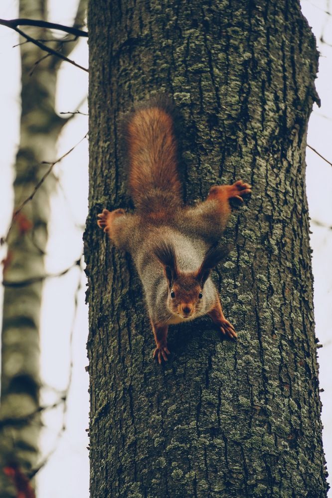 Photograph by Алексей