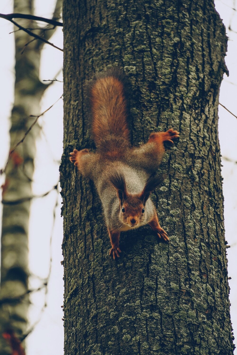 Photo #5817816