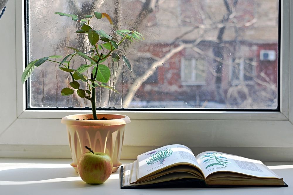 В ожидании весны.