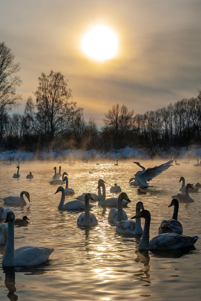 Photograph by Евгений Санин