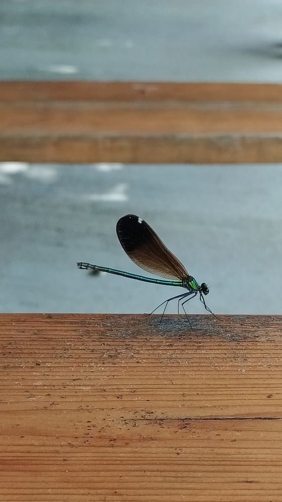 Photograph by Петров Петр