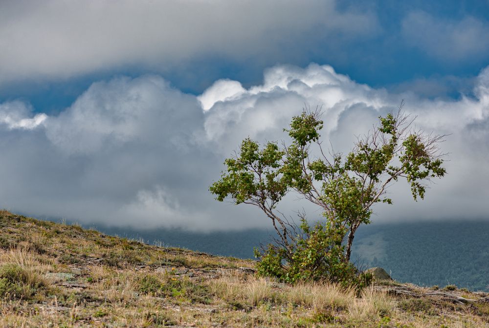 Фотография автора Tahir