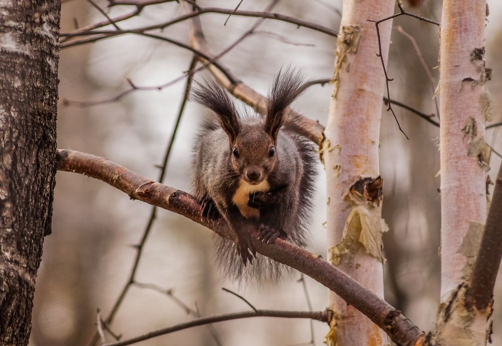 Photograph by Виктор Сёмушкин