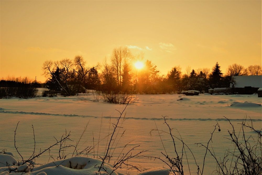 Photograph by Alvydas Baltakis