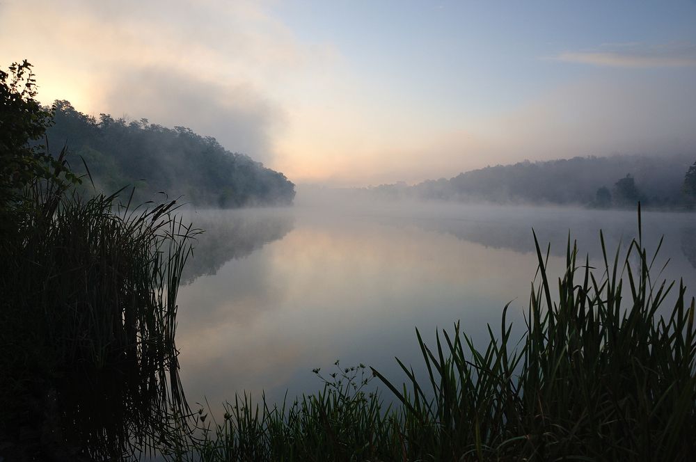 В утреннем тумане
