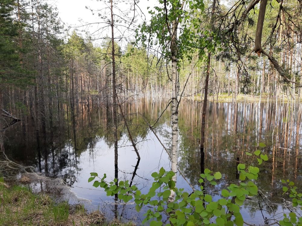 Photograph by Сергей Александрович