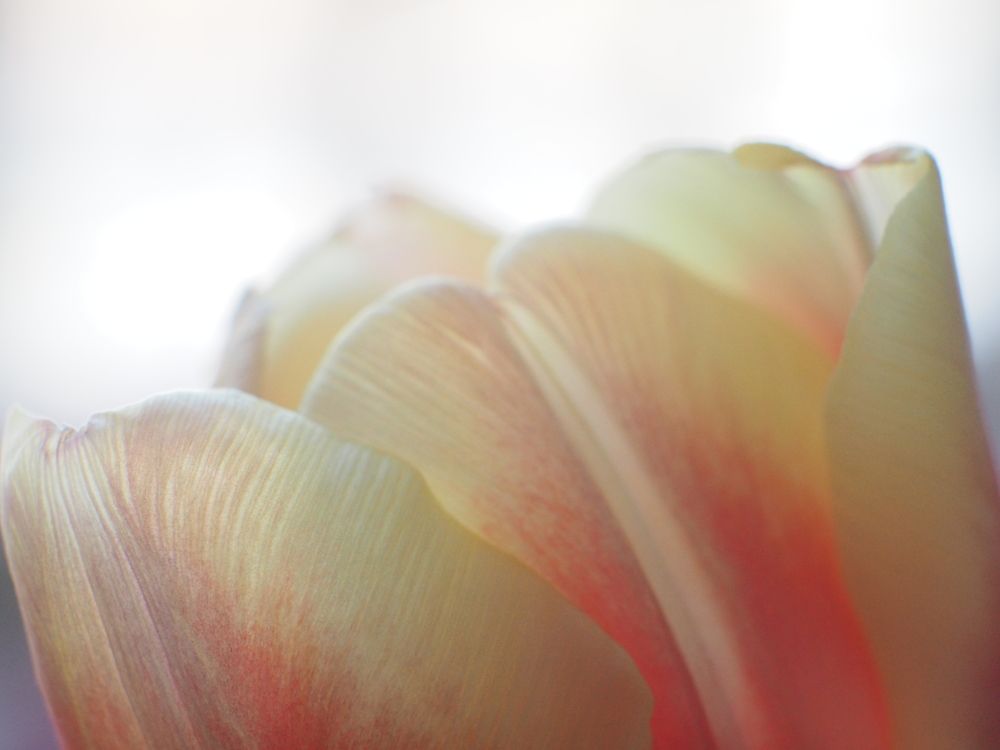 Фотография автора Иван Вдовин