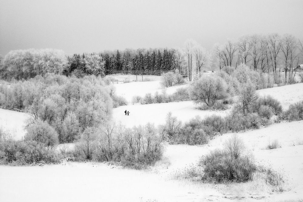 Photograph by Тимофей Шутов