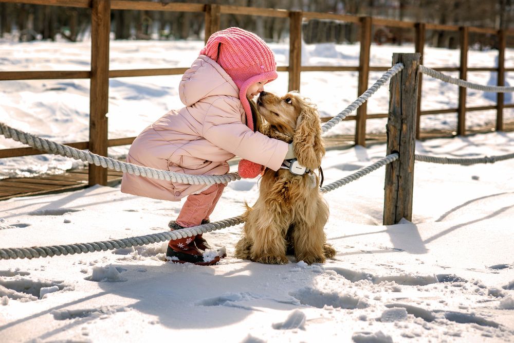 Photograph by Анна Рольгейзер