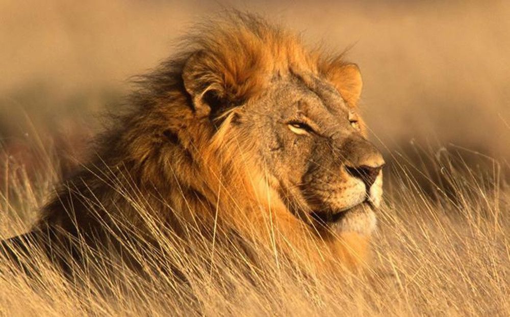 Photograph by Ahsan Ishtiaq