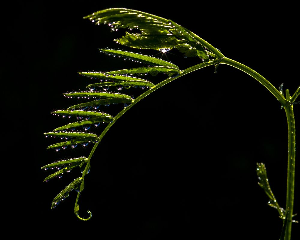 После дождя