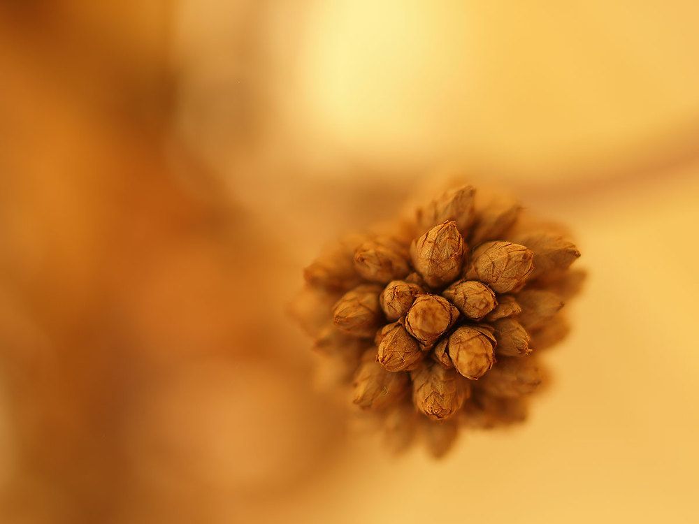 Photograph by Farid Ataei