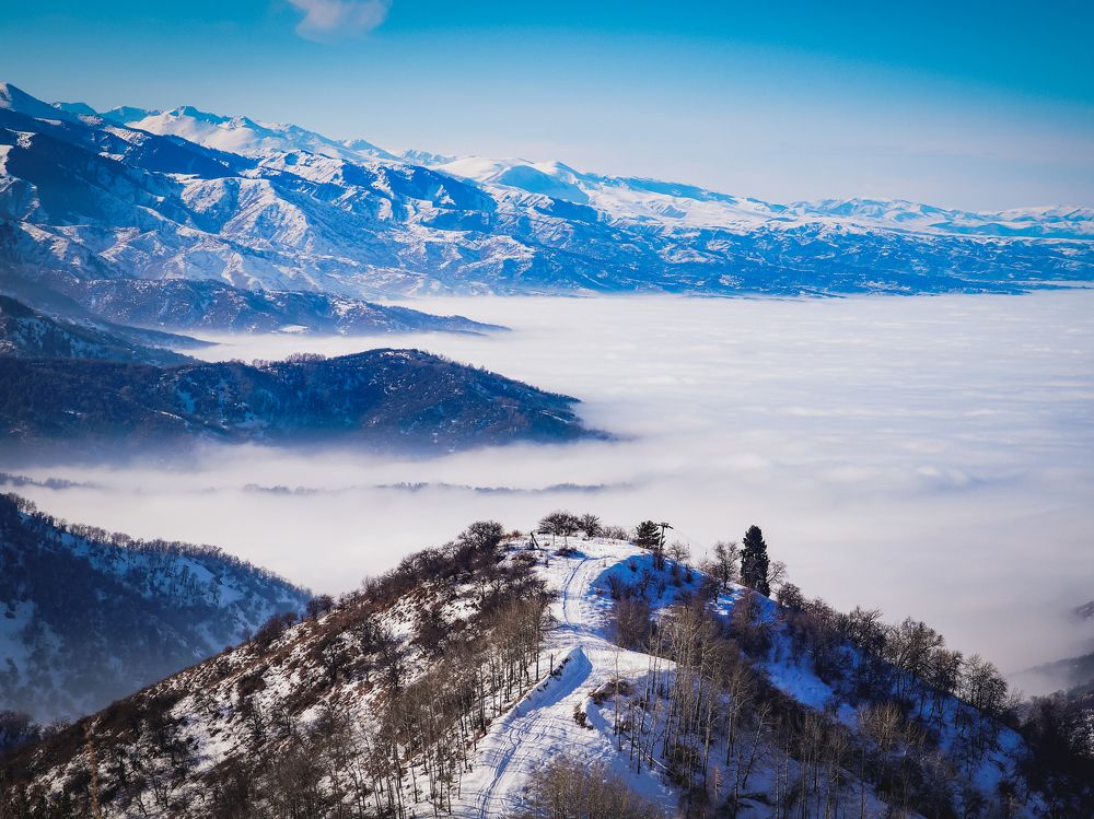 Photograph by Dmitriy  Dodonov