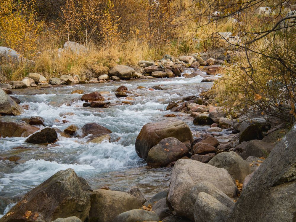 Photograph by Dmitriy  Dodonov