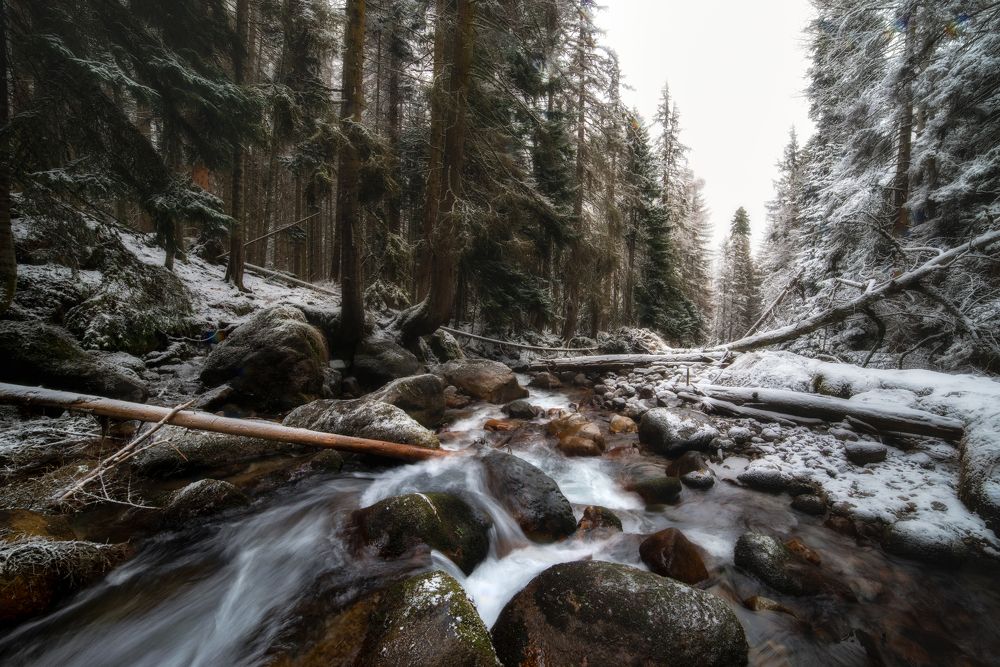 Photograph by Александр Орнатский