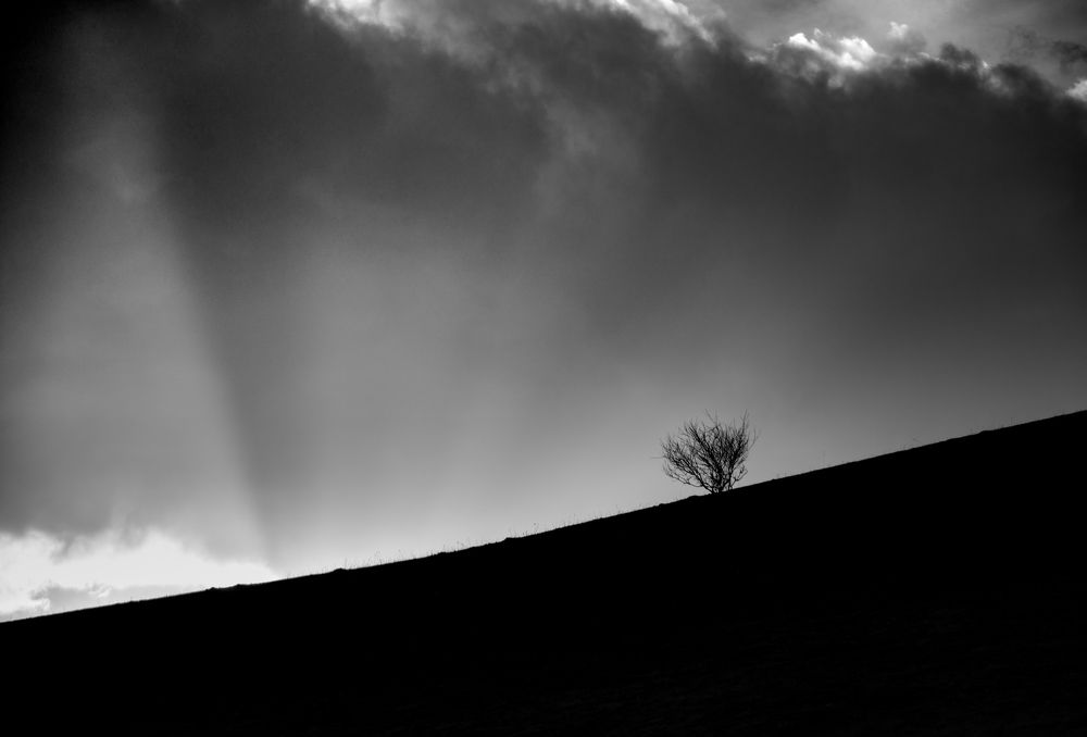 Photograph by Александр Орнатский