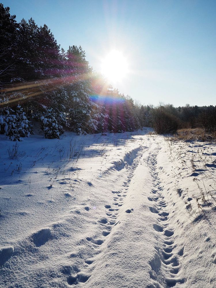 Photograph by Валерий Гришин