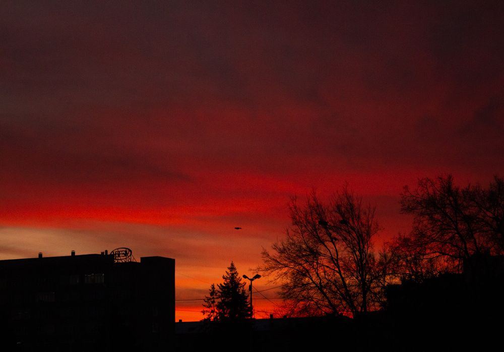 Закат в дендропарке