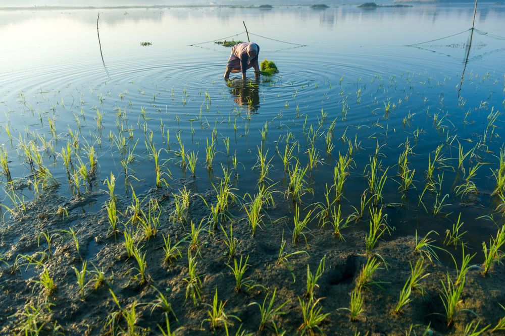 Photograph by Rasel Talukdar