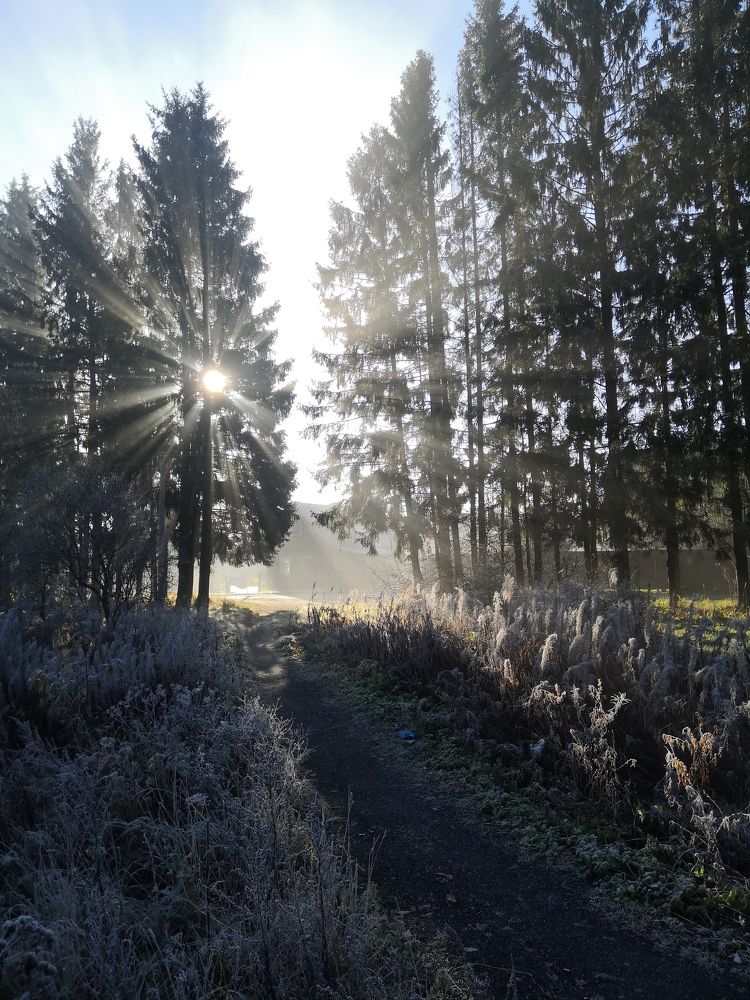Photo #5818125