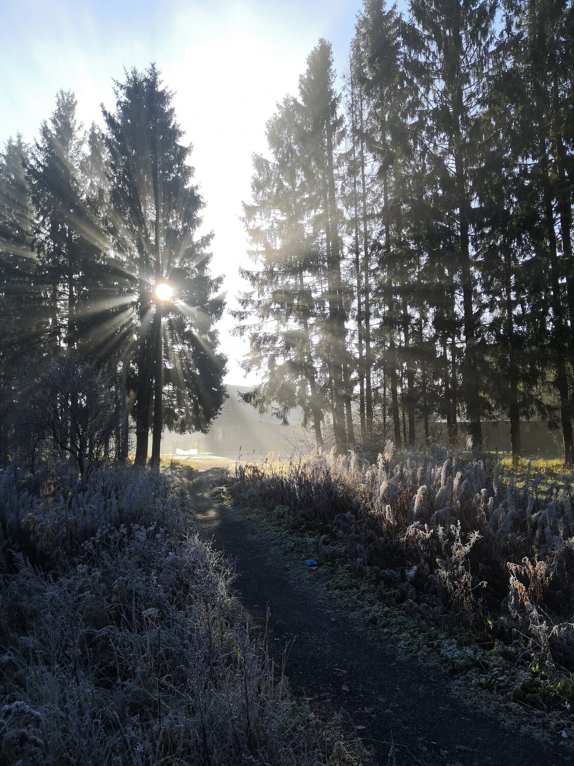 Photo #5818125