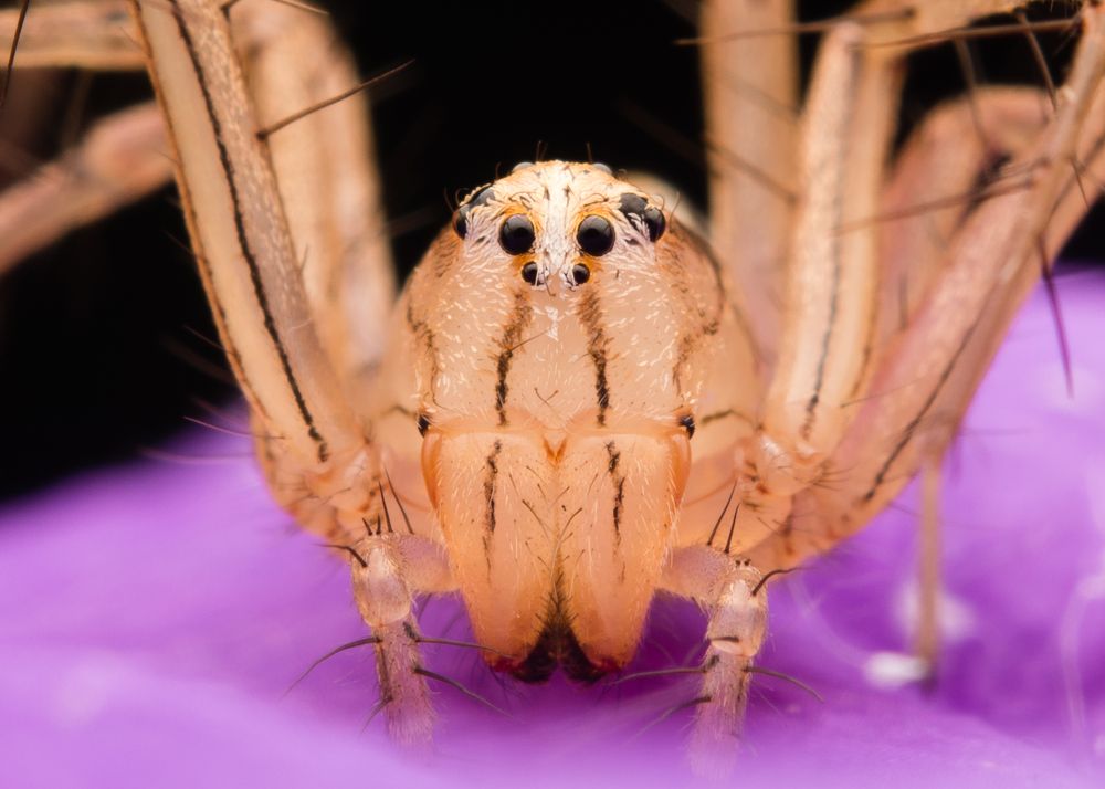 Photograph by Wildan Ardani