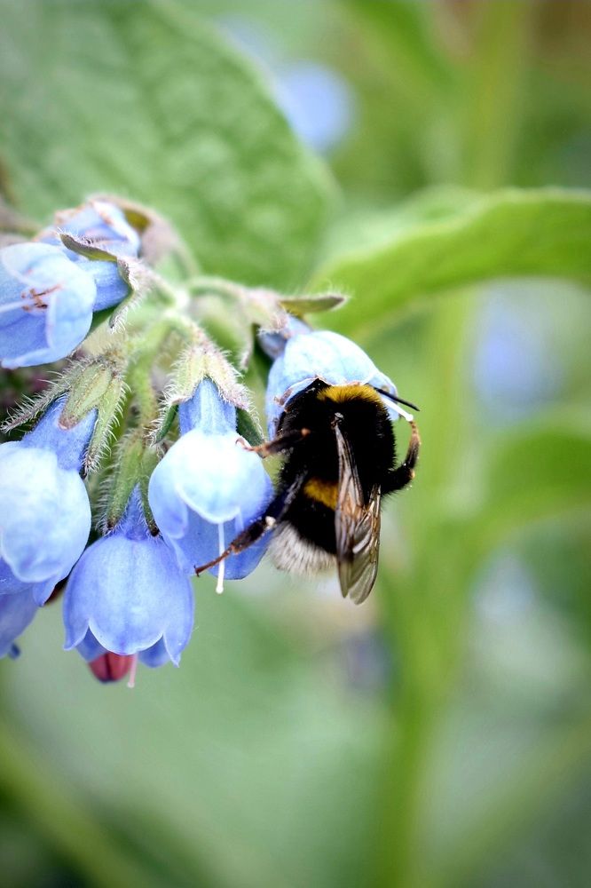 Photograph by Анастасия Бовкунова