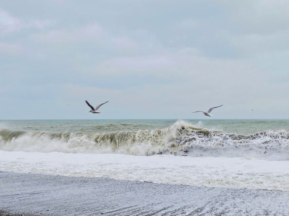 Photograph by Айк Петросян