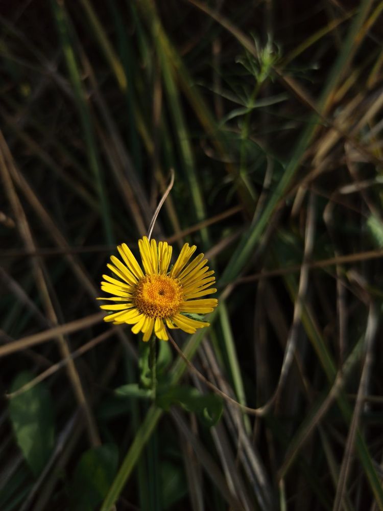 Photograph by Виктория Шереметьева